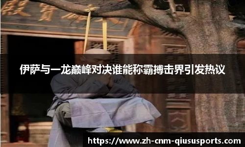 伊萨与一龙巅峰对决谁能称霸搏击界引发热议